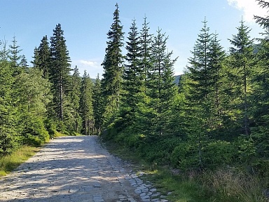 Prostą drogą na Klimczok