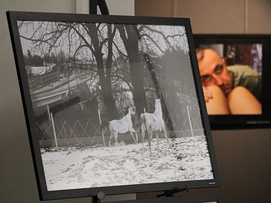 Wystawa fotografii Jana Dzidy