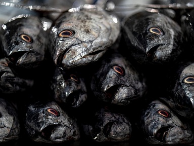 Tych ryb nie kupuj w sklepie