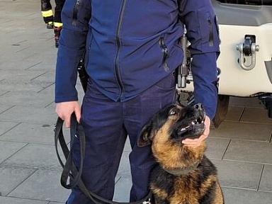 odnalezioenie seniora bielsko biala