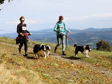 Mistrzostwa Polski w Dogtrekkingu w Wiśle